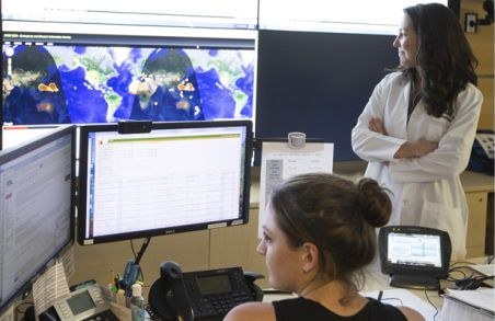 A physician reviewing data dashboards with a colleague in a telehealth setting